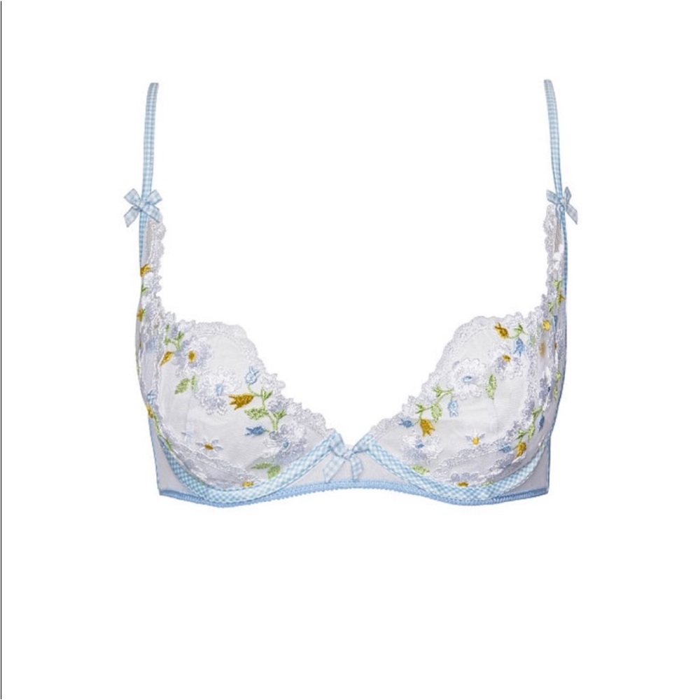 ISO For Love and Lemons Charlie Bra